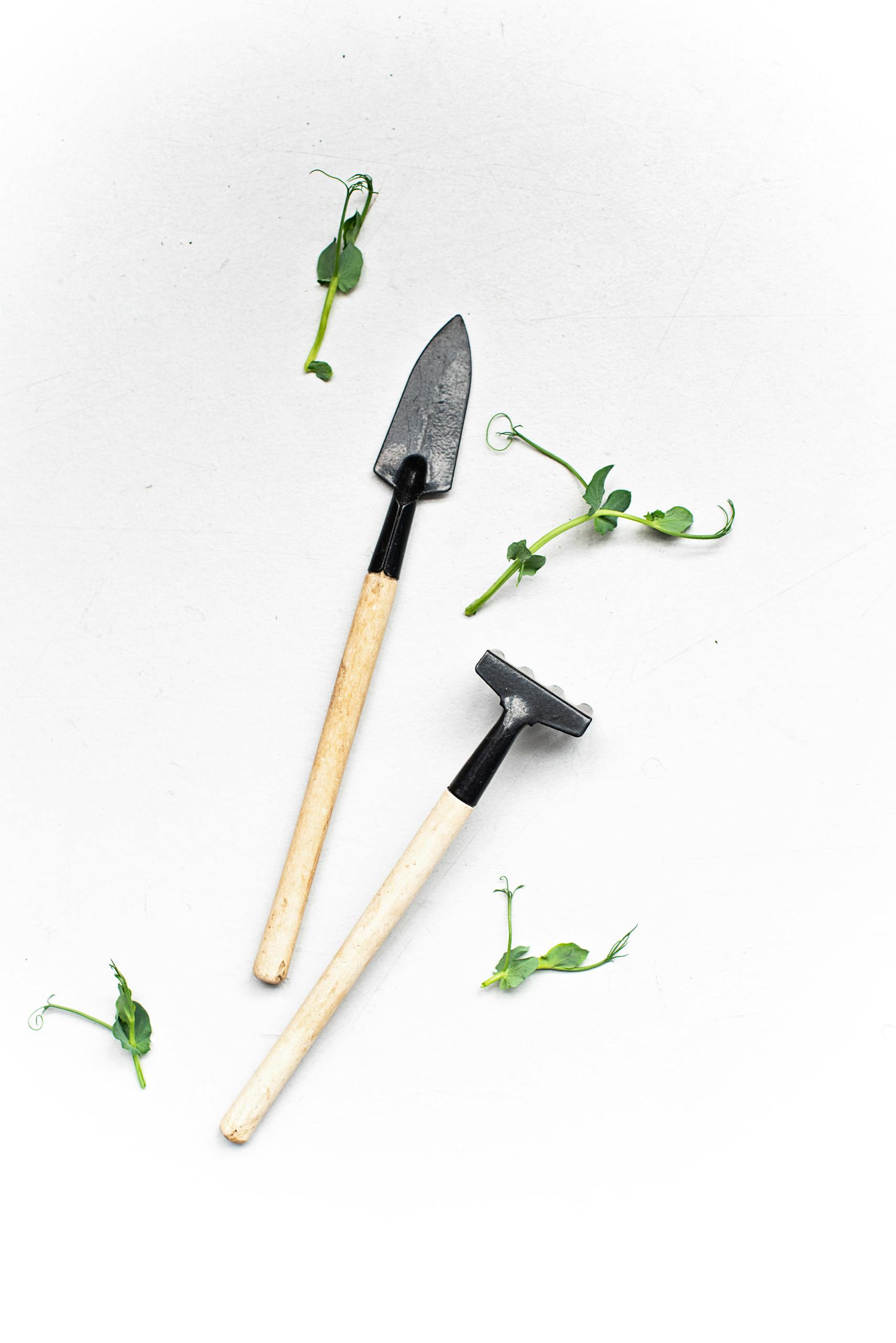 Flat lay of gardening tools and green leaves on white surface.